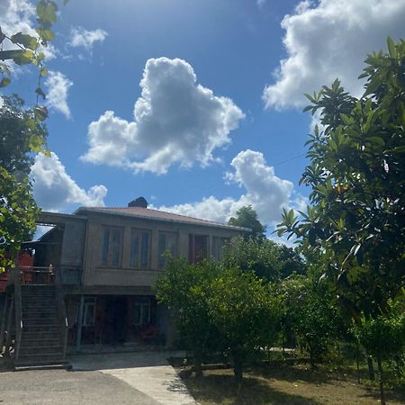 Hotel Dea Zugdidi Esterno foto